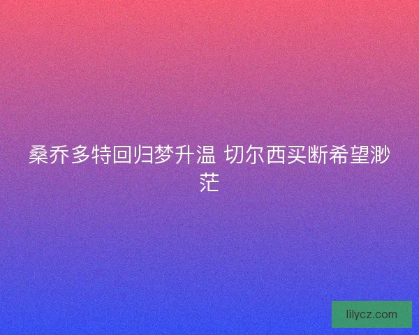 桑乔多特回归梦升温 切尔西买断希望渺茫